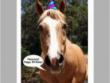 Birthday Cards with Horses Items Similar to Birthday Card Party Horse Photo 5