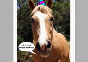 Birthday Cards with Horses Items Similar to Birthday Card Party Horse Photo 5