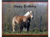 Birthday Cards with Horses On them Happy Birthday Horses Greeting Card