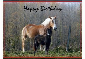 Birthday Cards with Horses On them Happy Birthday Horses Greeting Card
