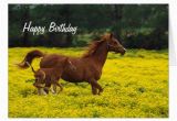 Birthday Cards with Horses On them Horse and Pony Happy Birthday Greeting Card Zazzle