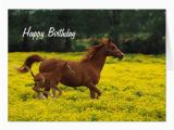 Birthday Cards with Horses On them Horse and Pony Happy Birthday Greeting Card Zazzle