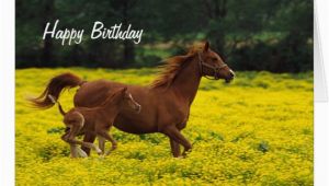 Birthday Cards with Horses On them Horse and Pony Happy Birthday Greeting Card Zazzle