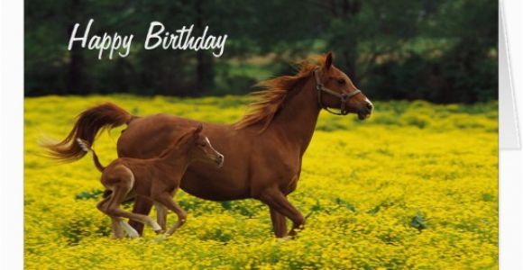 Birthday Cards with Horses On them Horse and Pony Happy Birthday Greeting Card Zazzle