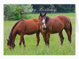 Birthday Cards with Horses On them Horse Beautiful Custom Horses Birthday Card Zazzle Com