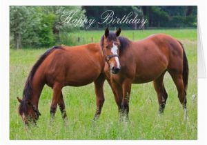 Birthday Cards with Horses On them Horse Beautiful Custom Horses Birthday Card Zazzle Com