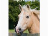 Birthday Cards with Horses Palomino Horse Happy Quotes Quotesgram