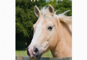 Birthday Cards with Horses Palomino Horse Happy Quotes Quotesgram