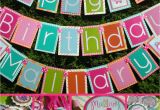 Birthday Decoration Packages Owl Birthday Party Decorations Package Look by