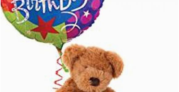 Birthday Delivery Ideas for Him Same Day Amazon Com Birthday Wishes Same Day Birthday Flowers