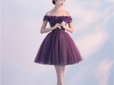 Birthday Dresses for 16 Year Olds 2017 Ball Gown formal Princess Party Dress Teens Clothes