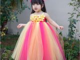 Birthday Dresses for toddlers Images Of Tulle Birthday Dresses Other Dresses Dressesss