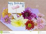 Birthday Flower Card Message Chrysanthemums Flowers In Violet Envelope with I Happy