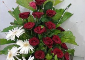 Birthday Flowers Buke Flowers Buke Images Impremedia Net