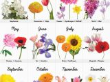 Birthday Flowers by Month Best 25 Birth Flower Tattoos Ideas On Pinterest Birth