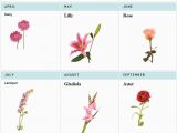 Birthday Flowers by Month Birth Flowers Flowers Secret