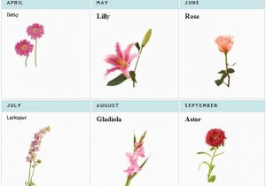 Birthday Flowers by Month Birth Flowers Flowers Secret