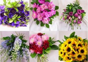 Birthday Flowers by Month Birth Month Flowers Pictures Beautiful Flowers