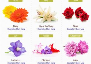 Birthday Flowers by Month Birthday Flowers by Month Proflowers Blog