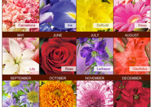 Birthday Flowers by Month Merry Brides Your Birth Month Flower