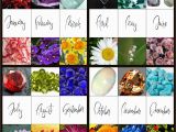 Birthday Flowers by Month Nail Art for Every Month Of the Year Featuring