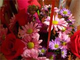 Birthday Flowers by Post Birthday Flowers 150×150 Occasions Hd Wallpapers