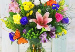 Birthday Flowers Chicago Chicago Florist Amling 39 S Flowers Of Arlington Heights