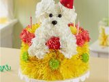 Birthday Flowers Delivered today A Dog Able Dog Flowers Gifts for Dog Lovers