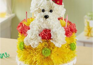 Birthday Flowers Delivered today A Dog Able Dog Flowers Gifts for Dog Lovers