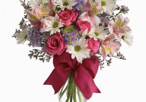 Birthday Flowers Delivered today Pretty Please Tfweb511 37 76