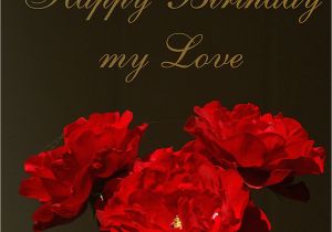 Birthday Flowers for Lovers Imageslist Com Happy Birthday Love Part 3