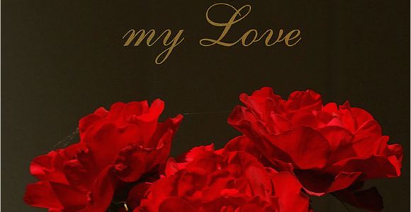 Birthday Flowers for Lovers Imageslist Com Happy Birthday Love Part 3