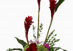 Birthday Flowers for Man A Man S Guide to Flower Buying north Raleigh Florist 39 S Blog