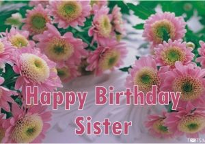 Birthday Flowers for My Sister Happy Birthday Wishes for Sister Quotes Messages Images