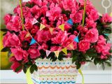 Birthday Flowers for Wife Birthday Flowers for Your Wife Proflowers