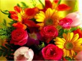 Birthday Flowers for Wife Birthday Gift Ideas for Wife Best Birthday Gift Ideas