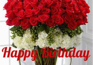 Birthday Flowers Images Red Roses Red N White Roses for Your Birthday Hbd 1 My Flower