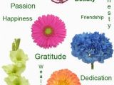 Birthday Flowers Meaning 25 Best Ideas About Flower Meanings On Pinterest Zodiac