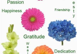 Birthday Flowers Meaning 25 Best Ideas About Flower Meanings On Pinterest Zodiac