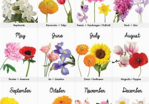 Birthday Flowers Meaning 25 Best Ideas About Month Flowers On Pinterest Birth