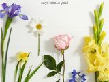 Birthday Flowers Meaning Best 25 Birth Flowers by Month Ideas On Pinterest Birth