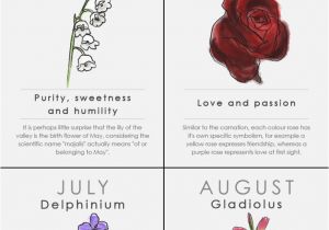 Birthday Flowers Meaning Best 25 Month Flowers Ideas On Pinterest Birth Month