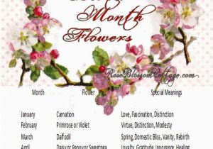 Birthday Flowers Meaning Birth Flowers and Meanings Sweet Ideas Pinterest