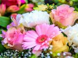 Birthday Flowers Meaning Birth Month Flowers and Meanings What is Your Birth