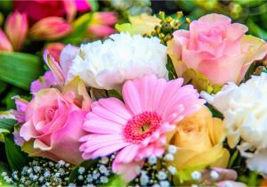 Birthday Flowers Meaning Birth Month Flowers and Meanings What is Your Birth