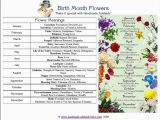 Birthday Flowers Meaning Birthday Flowers their Meaning Party Party Party