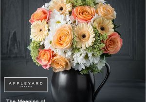 Birthday Flowers Meaning the Meaning Of Birthday Flowers Appleyard Blog