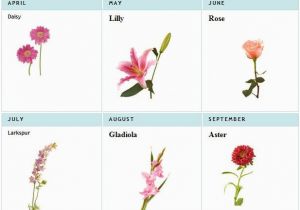 Birthday Flowers Meanings 25 Best Ideas About Birth Flowers On Pinterest Birth