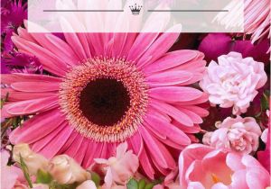 Birthday Flowers Meanings 342 Best A Hallmark Birthday Images On Pinterest Big Day