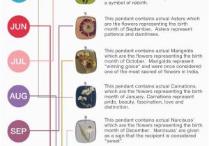 Birthday Flowers Meanings 38 Best Images About Flower Meanings On Pinterest